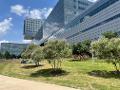 PARKLAND HEALTH - MAIN CAMPUS