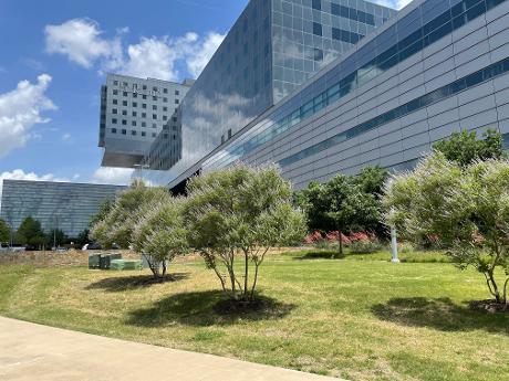 PARKLAND HEALTH - MAIN CAMPUS profile