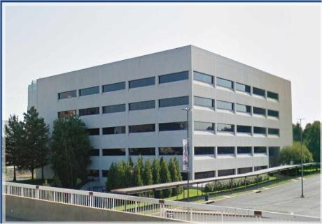 purina checkerboard square